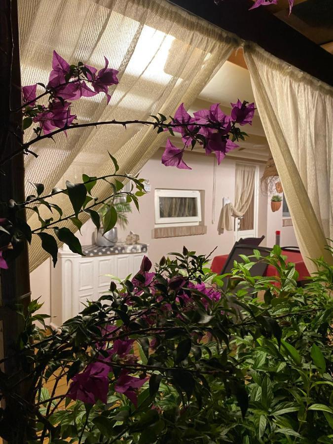 Villa Ancora Bilocale à Marina di Massa Extérieur photo