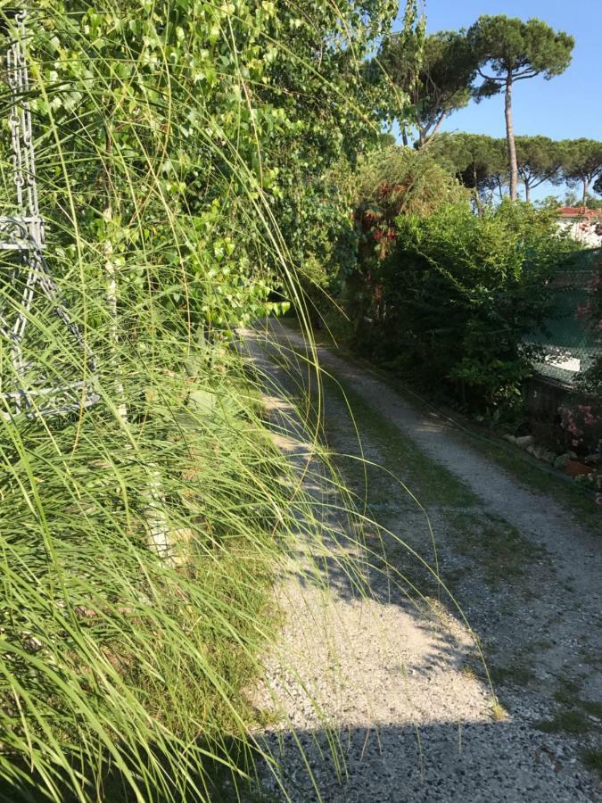 Villa Ancora Bilocale à Marina di Massa Extérieur photo